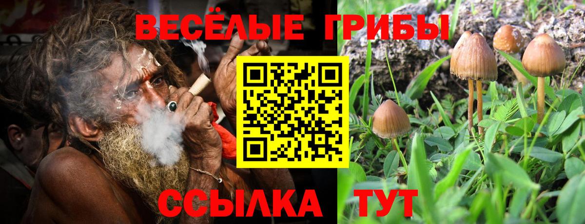 Псилоцибиновые грибы Cubensis  Вход с VPN  Галлюциногенные грибы мухоморы  Белорецк 